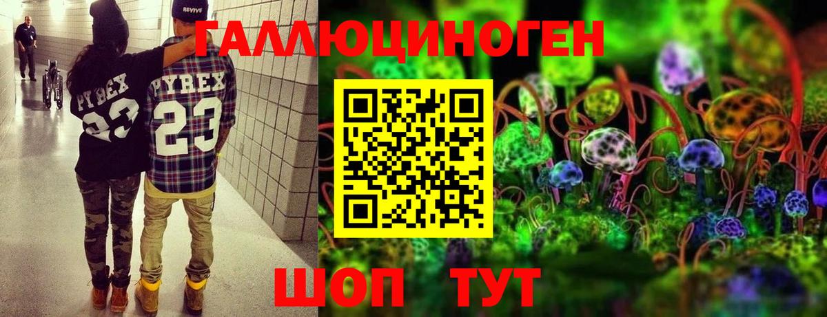 Галлюциногенные грибы Psilocybe  Галлюциногенные грибы GOLDEN TEACHER  Вход с VPN  Нововоронеж 